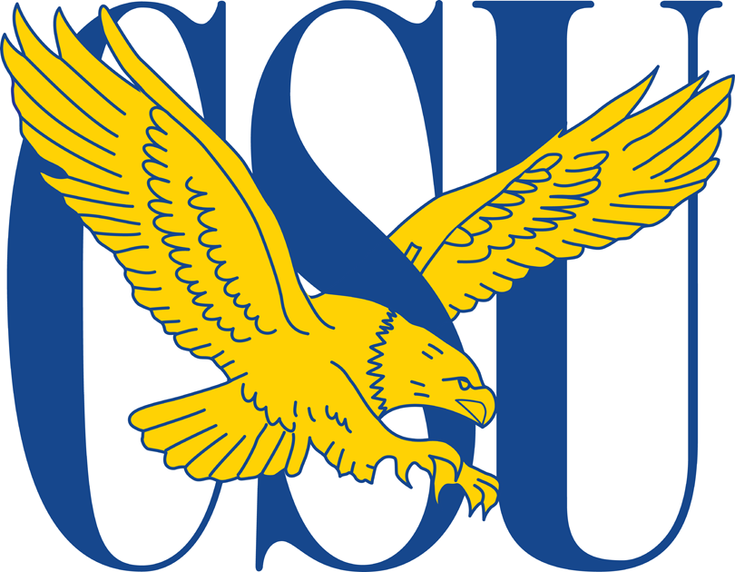 Coppin State Eagles 2004-2016 Primary Logo t shirts iron on transfers